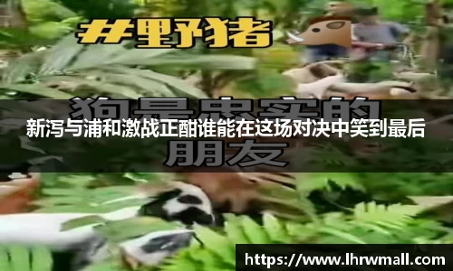 8868平台